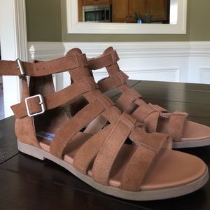 Brand new Steve Madden gladiator sandals